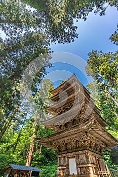 Five Story Pagoda äº”é‡å¡” and Sugi trees at Mount Haguro ç¾½é»’å±±, One of the three sacred mountains Dewa Sanzan å‡ºç¾½ä¸‰å±±.